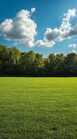 Stunning Green Meadow Under a Cloudy Sky. Pristine Landscape photo