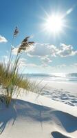 Serene Beach Scene Under a Radiant Sun photo