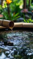 Serene Bamboo Water Feature in a Tranquil Garden photo