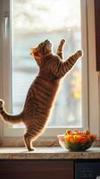 Playful Tabby Cat Jumping at Window, Seeking Food photo