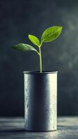 Tiny Sprout in a Rustic Metal Container A Symbol of Nature's Resilience photo