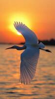 A Serene Sunset Seascape with a Graceful Bird Silhouette Against Golden Waters and a Tranquil Horizon at Dusk photo