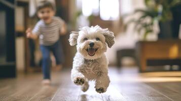 A Heartwarming Moment of Canine Happiness and Childhood Fun at Home, Capturing the Pure Essence of Playful Companionship photo