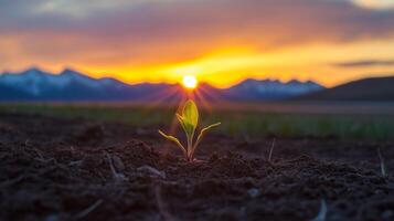 New Life Dawns Seedling Emerges at Sunrise, Symbolizing Growth and Hope in a Serene Landscape of Soil, Mountains, and Sky photo