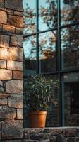 Harmonious Blend Plant, Brick Wall, and Window Reflection - A Serene Outdoor Still Life with Natural Light and Textural Contrast, Evoking Calmness photo