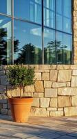 Modern Architecture Glass Windows Reflecting Trees on a Stone Building with a Potted Plant, Capturing Urban Design and Natural Reflections photo