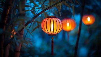 Illuminated lanterns among bamboo, casting a peaceful glow in a tranquil space surrounded by vibrant greenery photo
