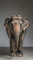 Majestic Elephant Portrait - A Powerful Animal photo