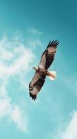 Majestic Eagle Soaring in a Clear Sky photo