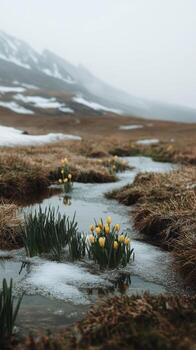 Spring Flowers by a Mountain Stream photo