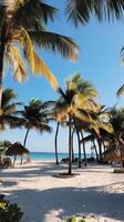 Exotic Beach Haven Surrounded by Palm Trees photo