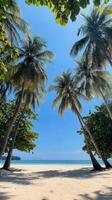 Idyllic Tropical Beach with Lush Palm Trees photo