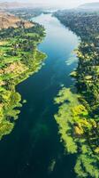 Aerial View of a Serene River and Lush Landscape photo