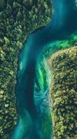 Serene River Winding Through Lush Forest photo