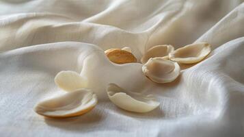 Elegant Shell Pieces on a Soft Fabric photo