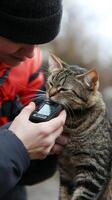 Close-up of a Person and Their Beloved Tabby Cat photo