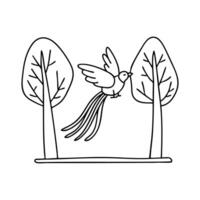 Illustration of a quetzal bird swinging by its long tail feathers between trees vector