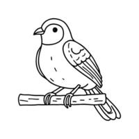 Illustration of a small quelea bird perched on a dry branch vector