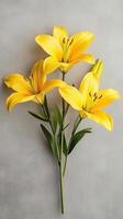Brilliant Yellow Lilies Set Against a Textured Canvas Background photo