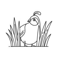 Illustration of a quail peeking from tall grass, its head plume tilting vector