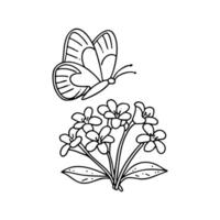 Illustration of a butterfly hovering above a cluster of quisqualis flowers vector