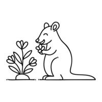 Illustration of a quokka sitting under a small bush, nibbling a flower vector