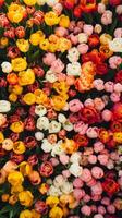 A Vibrant Spring Bouquet of Tulips photo