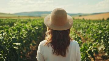 Woman Gathering Fresh Tomatoes from a Lush Garden photo