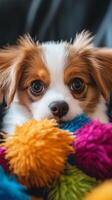 Cute Puppy Playing with Bright Toys photo
