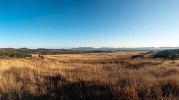 Panoramic Autumnal Landscape with Golden Field and Blue Sky photo