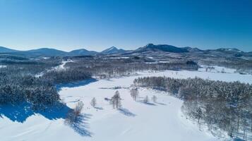 Breathtaking Winter Landscape with Snowy Mountains and Frozen Forest photo
