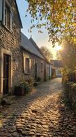 Charming Cobblestone Alleyway in a Picturesque European Village photo