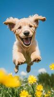 Joyful Golden Puppy Leaping in a Field of Flowers photo