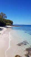 Serene Island Beach Crystal-Clear Waters and Pristine Sand photo