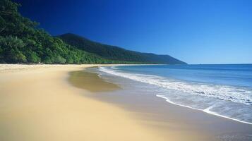 Tranquil Tropical Beach Paradise photo
