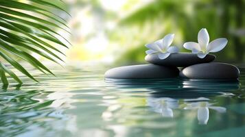 Serene Nature Scene Tranquil Water, Stones, and Flowers photo