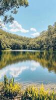 Serene Lakeside Landscape with Picturesque Forest View photo