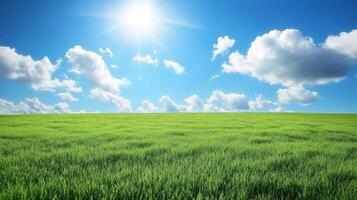 Vast Green Field Under a Cloud-Kissed Sky photo