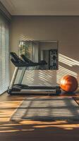 Invigorating Home Gym Treadmill, Exercise Ball, and Natural Light for a Healthy Lifestyle and Fitness Motivation in a Modern Interior Design Space photo