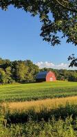 Idyllic Countryside A Red Barn Nestled in a Green Field under a Clear Blue Sky, Capturing the Essence of Rural Charm and the Beauty of Nature's Serene Palette photo