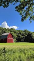 Charming Red Barn Amidst Verdant Fields photo