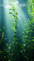 Submerged Serenity Underwater Flora Bathed in Sunlight, a Tranquil Aquatic Scene photo