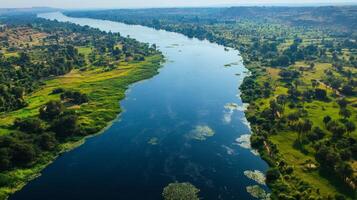 Breathtaking Aerial Vista of a Serene River photo