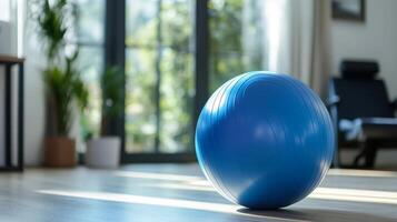 Serene Blue Exercise Ball photo
