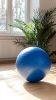Invigorating Blue Exercise Ball photo