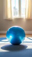 Blue Exercise Ball photo