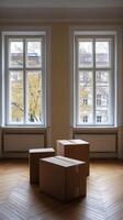 Boxes in an Apartment photo