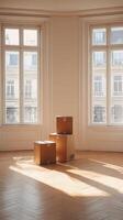 A Bright Apartment with Boxes photo