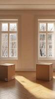 Sunlit Room with Moving Boxes photo