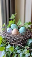 Charming Nest with Speckled Eggs photo